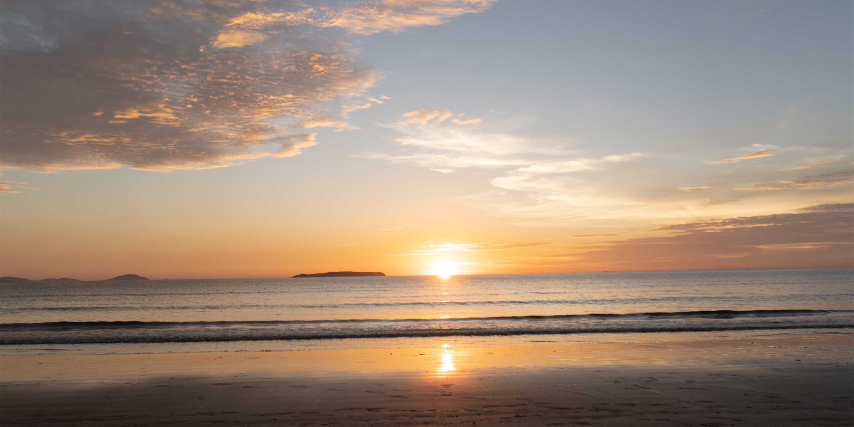 sTOBIo_article トップイメージ