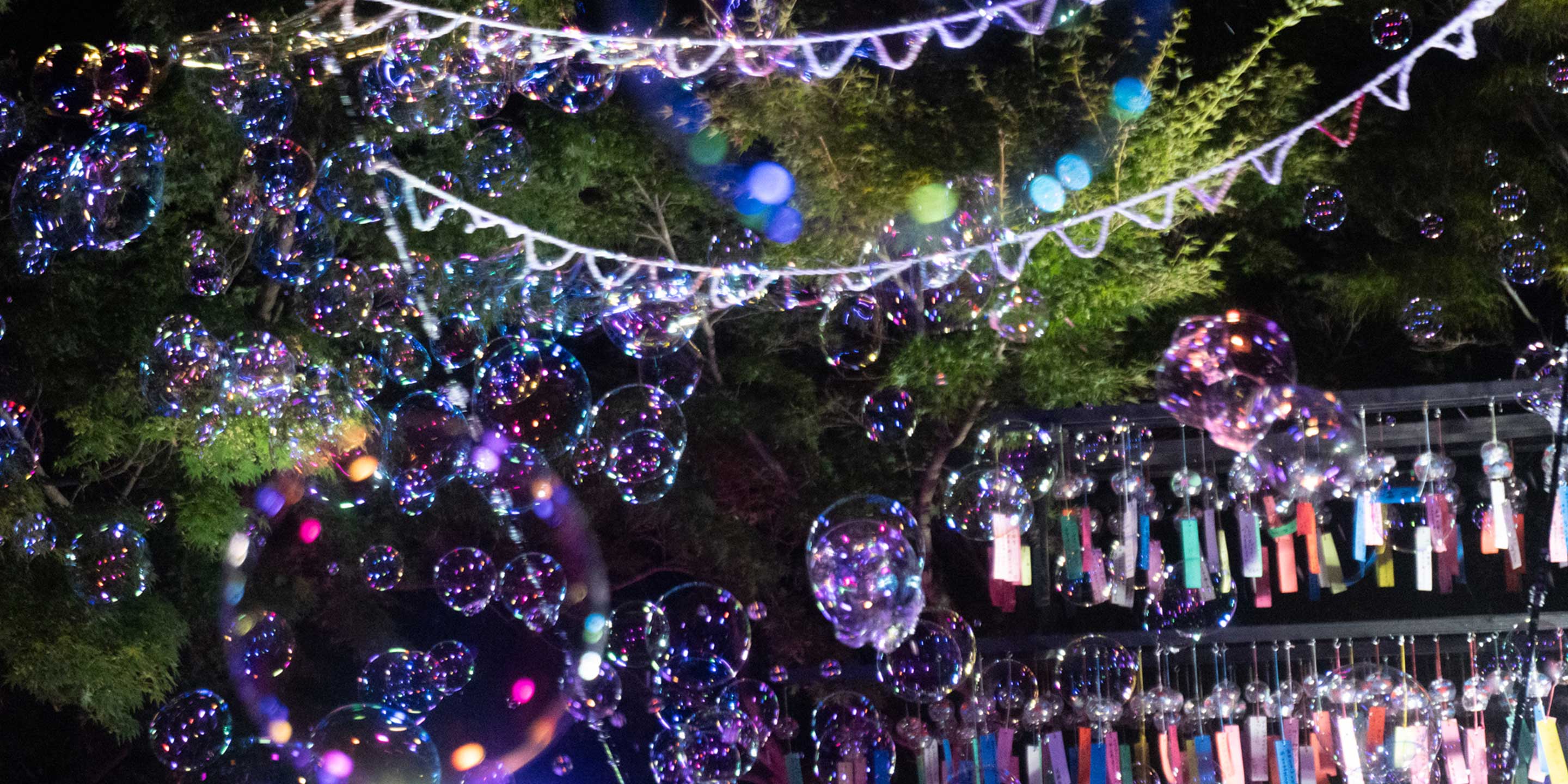 sTOBIo_article トップイメージ